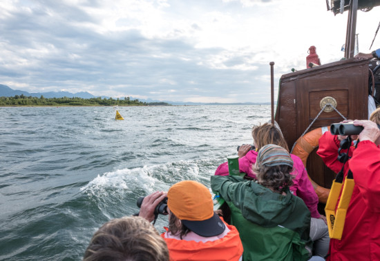 Offenes Motorboot auf dem Chiemsee bei einer Erlebnisbootsfahrt an das Delta der Tiroler Ache